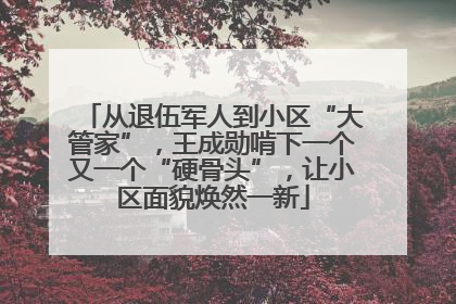 从退伍军人到小区“大管家”，王成勋啃下一个又一个“硬骨头”，让小区面貌焕然一新