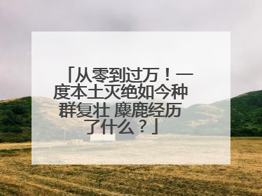 从零到过万！一度本土灭绝如今种群复壮 麋鹿经历了什么？