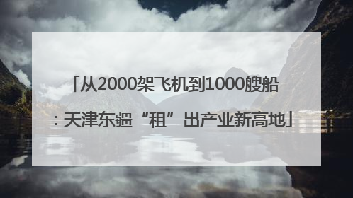 从2000架飞机到1000艘船：天津东疆“租”出产业新高地