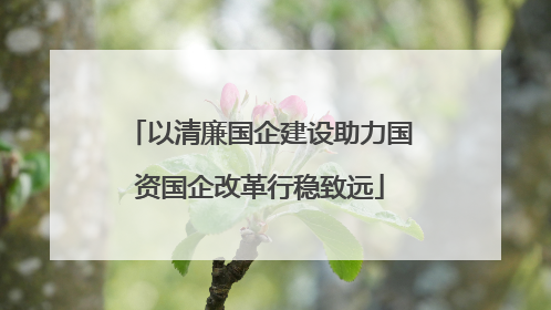 以清廉国企建设助力国资国企改革行稳致远