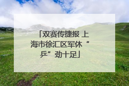 双赛传捷报 上海市徐汇区军休“乒”劲十足