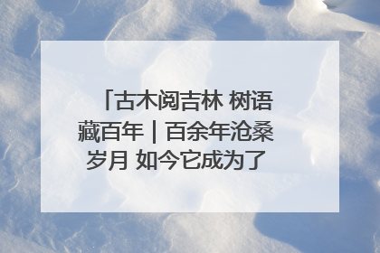 古木阅吉林 树语藏百年｜百余年沧桑岁月 如今它成为了“镇园之宝”
