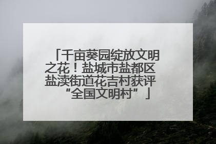 千亩葵园绽放文明之花！盐城市盐都区盐渎街道花吉村获评“全国文明村”