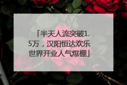 半天人流突破1.5万，汉阳恒达欢乐世界开业人气爆棚