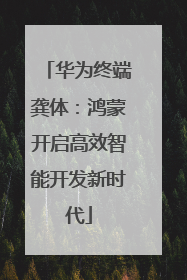 华为终端龚体：鸿蒙开启高效智能开发新时代
