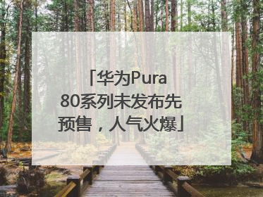 华为Pura 80系列未发布先预售，人气火爆