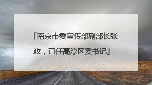南京市委宣传部副部长张政，已任高淳区委书记
