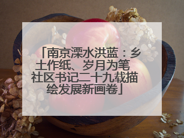 南京溧水洪蓝：乡土作纸、岁月为笔 社区书记二十九载描绘发展新画卷