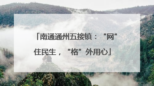 南通通州五接镇：“网”住民生，“格”外用心