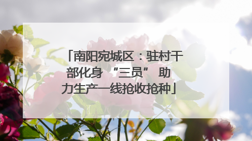 南阳宛城区：驻村干部化身 “三员” 助力生产一线抢收抢种