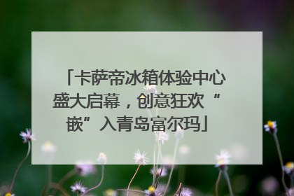 卡萨帝冰箱体验中心盛大启幕，创意狂欢“嵌”入青岛富尔玛