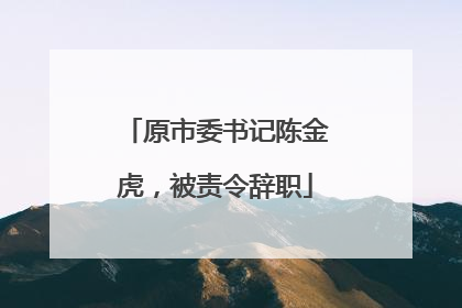 原市委书记陈金虎，被责令辞职
