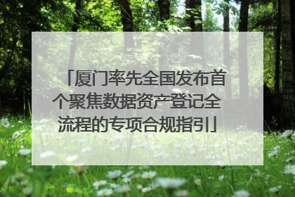 厦门率先全国发布首个聚焦数据资产登记全流程的专项合规指引