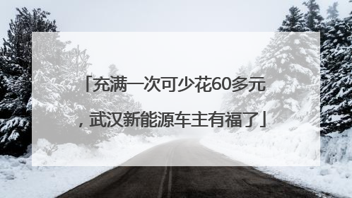 充满一次可少花60多元，武汉新能源车主有福了