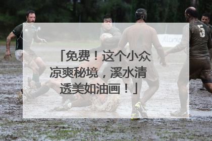 免费！这个小众凉爽秘境，溪水清透美如油画！