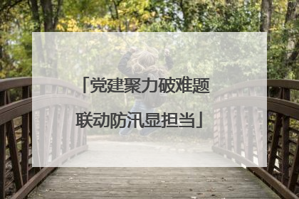 党建聚力破难题 联动防汛显担当
