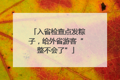 入省检查点发粽子，给外省游客“整不会了”