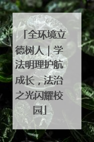 全环境立德树人｜学法明理护航成长，法治之光闪耀校园