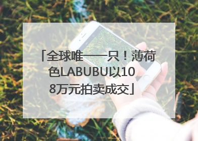全球唯一一只！薄荷色LABUBU以108万元拍卖成交