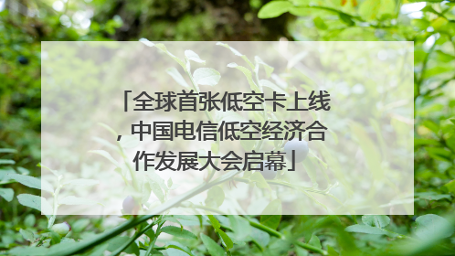 全球首张低空卡上线，中国电信低空经济合作发展大会启幕