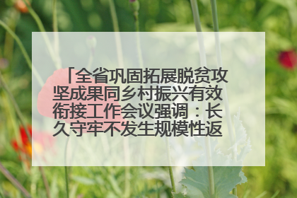 全省巩固拓展脱贫攻坚成果同乡村振兴有效衔接工作会议强调：长久守牢不发生规模性返贫致贫底线 王宁出席并讲话 王予波主持