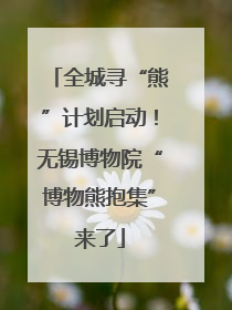 全城寻“熊”计划启动！无锡博物院“博物熊抱集”来了