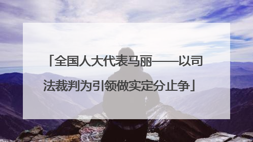 全国人大代表马丽——以司法裁判为引领做实定分止争