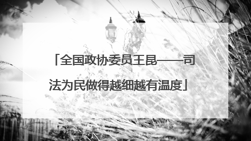 全国政协委员王昆——司法为民做得越细越有温度