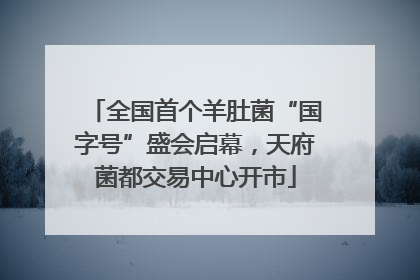 全国首个羊肚菌“国字号”盛会启幕，天府菌都交易中心开市