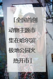 全国首创动物主题市集在哈尔滨极地公园火热开市