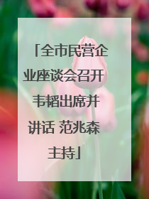 全市民营企业座谈会召开 韦韬出席并讲话 范兆森主持