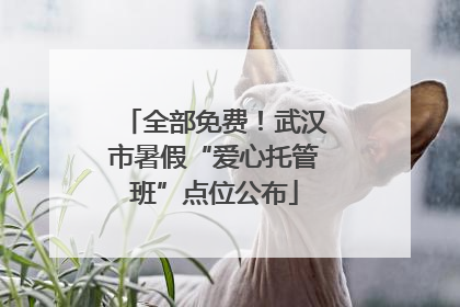 全部免费！武汉市暑假“爱心托管班”点位公布