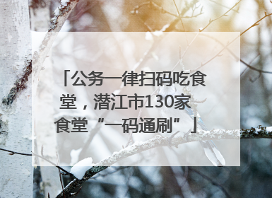 公务一律扫码吃食堂，潜江市130家食堂“一码通刷”