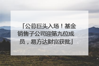 公募巨头入场！基金销售子公司迎第九位成员，易方达财富获批