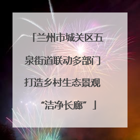 兰州市城关区五泉街道联动多部门打造乡村生态景观“洁净长廊”
