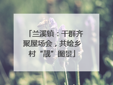 兰溪镇：干群齐聚屋场会，共绘乡村“靓”图景
