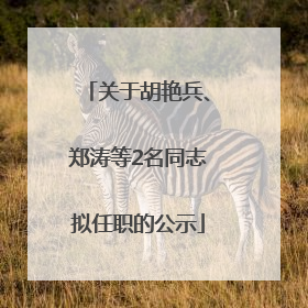 关于胡艳兵、郑涛等2名同志拟任职的公示
