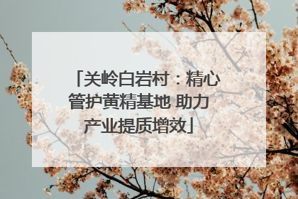 关岭白岩村：精心管护黄精基地 助力产业提质增效