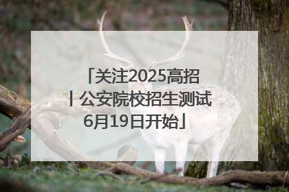 关注2025高招丨公安院校招生测试6月19日开始