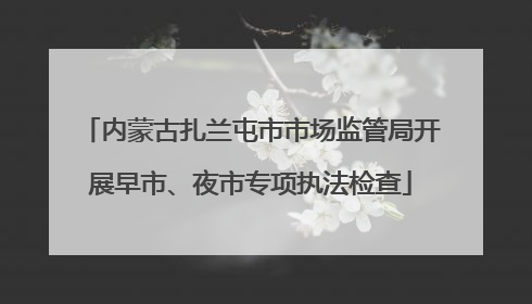 内蒙古扎兰屯市市场监管局开展早市、夜市专项执法检查