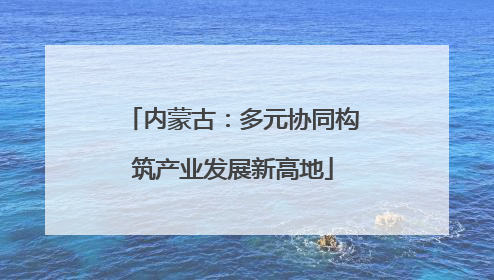 内蒙古：多元协同构筑产业发展新高地