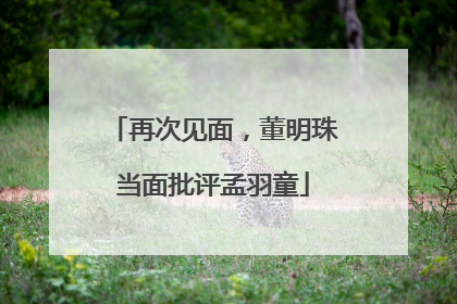 再次见面，董明珠当面批评孟羽童