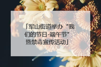 军山街道举办“我们的节日-端午节”暨禁毒宣传活动