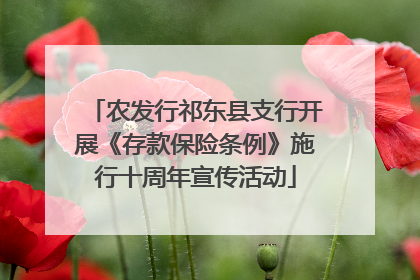 农发行祁东县支行开展《存款保险条例》施行十周年宣传活动