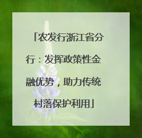 农发行浙江省分行：发挥政策性金融优势，助力传统村落保护利用