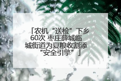 农机“送检”下乡60次 枣庄薛城临城街道为夏粮收割添“安全引擎”