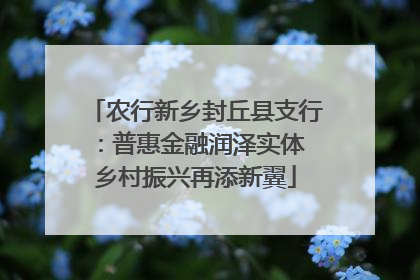农行新乡封丘县支行：普惠金融润泽实体 乡村振兴再添新翼