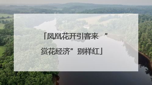 凤凰花开引客来 “赏花经济”别样红