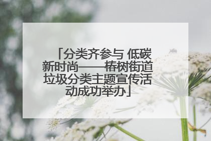分类齐参与 低碳新时尚——椿树街道垃圾分类主题宣传活动成功举办