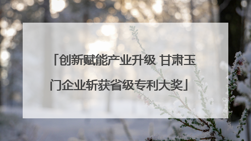 创新赋能产业升级 甘肃玉门企业斩获省级专利大奖